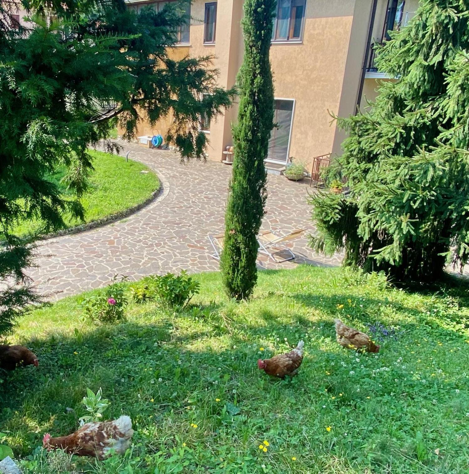 Villa Cuten Calco  Buitenkant foto